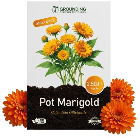 Grounding Maxi - Orange and Yellow Calendula Mix Seeds, 2,500+ Seeds, Height 30 cm - Perfect for Balconies, Flower Beds and Borders - Covers 20 m² - European Quality