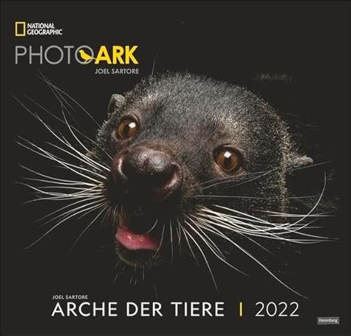 Arche der Tiere National Geographic Kalender 2022