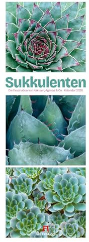 Sukkulenten Triplet-Kalender 2026 | Kakteen, Agaven & Co | Stilvoller Botanikkalender im schlanken Hochformat (24x66 cm) | Triplet-Fotografie