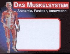Anatomie Lernkarten - Die menschliche Muskulatur