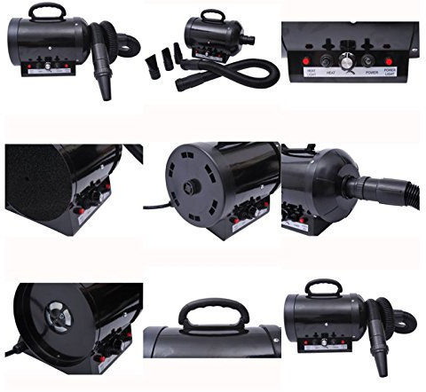 Outsunny - Soffiatore Phon Asciugatrice Riscaldatore per Cani/Gatti 2400W - TEMPERATURA E Velocità regolabili - Porpora