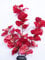 Aquarium Plants (Silk) Red Lily Fish Tank Decoration (30cm Tall)