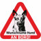 Indigos UG - Namensaufkleber Hund - Schäferhund - Aufkleber mit Namen & Wunschtext - individuell personalisiert - Auto - Motorrad - LKW