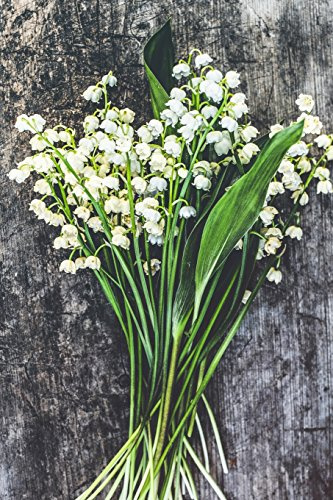 Lilies of the Valley - Lined Notebook with Margins: 101 Pages, Medium Ruled, 6 x 9 Journal, Soft Cover