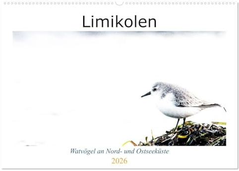 Limikolen - Watvögel an Nord- und Ostseeküste (Wandkalender 2026 DIN A2 quer), CALVENDO Monatskalender: Häufige und seltenere Vögel am Spülsaum der Küste (CALVENDO Natur)