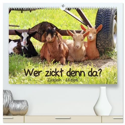 Wer zickt denn da? - Zicklein-Edition (hochwertiger Premium Wandkalender 2026 DIN A2 quer), Kunstdruck in Hochglanz: Die niedlichen kleinen Ziegen sind los! (CALVENDO Tiere)