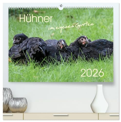 Hühner im eigenen Garten (hochwertiger Premium Wandkalender 2026 DIN A2 quer), Kunstdruck in Hochglanz: Hübsche und hochwertige Aufnahmen von ... die im eigenen Garten leben (CALVENDO Tiere)
