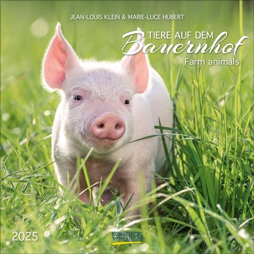 Tiere auf dem Bauernhof 2025: Broschürenkalender mit Ferienterminen. Format: 30 x 30 cm