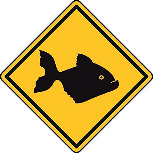 U24 Aufkleber Vorsicht Piranha Fisch Autoaufkleber Sticker
