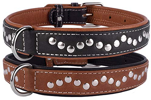 CollarDirect Hundehalsband mit Nieten, Leder, für kleine und mittelgroße Welpen, weich gepolstert, Braun/Schwarz (Schwarz, 43-48 cm)