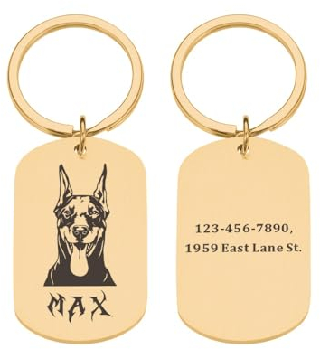 Etiquetas Personalizadas Para Perro Doberman, Collar Antipérdida, Etiquetas Para Perros, Placa Con Nombre Personalizada, Collares Para Mascotas, Suministros Para Cachorros,oro,24cmx40.00cm