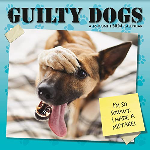 2024 Guilty Dog Wall Calendar