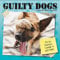 2024 Guilty Dog Wall Calendar