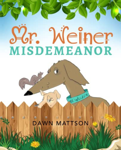 Mr. Weiner Misdemeanor