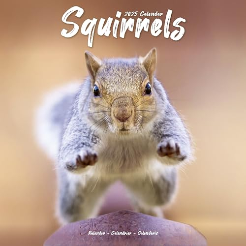 Squirrels – Eichhörnchen – Grauhörnchen 2025 – 16-Monatskalender: Original Avonside-Kalender [Mehrsprachig] [Kalender] (Wall-Kalender)