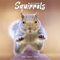 Squirrels – Eichhörnchen – Grauhörnchen 2025 – 16-Monatskalender: Original Avonside-Kalender [Mehrsprachig] [Kalender] (Wall-Kalender)