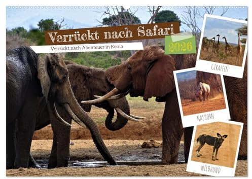 Verrückt nach Safari Verrückt nach Abenteuer in Kenia (Wandkalender 2026 DIN A2 quer), CALVENDO Monatskalender: Abenteuer erleben...Safari njema! (CALVENDO Orte)