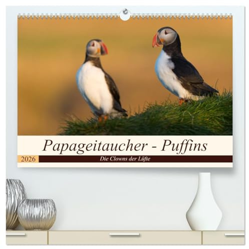 Papageitaucher - Puffins (hochwertiger Premium Wandkalender 2026 DIN A2 quer), Kunstdruck in Hochglanz: Papageitaucher aus Island (CALVENDO Tiere)