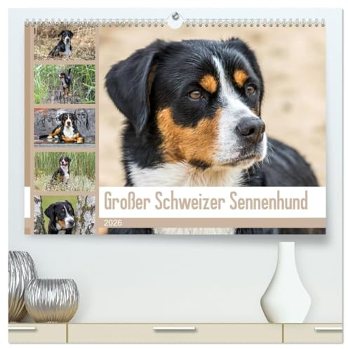 Großer Schweizer Sennenhund (hochwertiger Premium Wandkalender 2026 DIN A2 quer), Kunstdruck in Hochglanz: Sennenhund Rasse (CALVENDO Tiere)