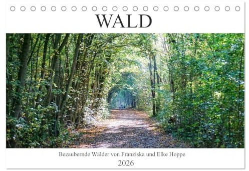 Wald - bezaubernde Wälder (Tischkalender 2026 DIN A5 quer), CALVENDO Monatskalender: Wunderschöne Bilder aus dem Wald. (CALVENDO Natur)