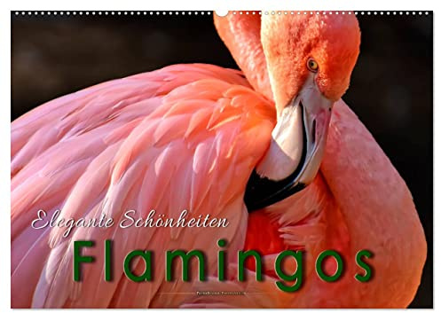 Flamingos - elegante Schönheiten (Wandkalender 2026 DIN A2 quer), CALVENDO Monatskalender: Eindrucksvolle Bilder der beeindruckenden Tiere. (CALVENDO Tiere)