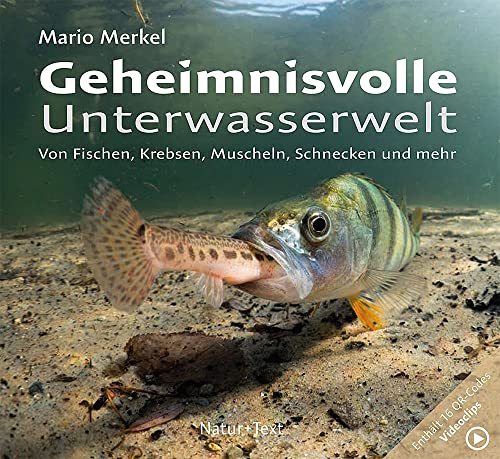 Geheimnisvolle Unterwasserwelt: Von Fischen, Krebsen, Muscheln, Schnecken und mehr