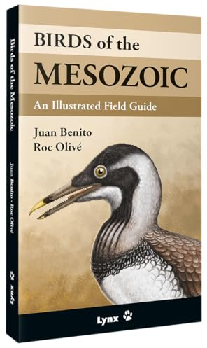 Birds of the Mesozoic: An Illustrated Field Guide