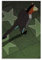 Cartoon TV Show BoJack Horseman Poster Dekorative Malerei Leinwand Wandkunst Wohnzimmer Poster Schlafzimmer Malerei,Wandkunst Bilddruck Moderne Familienzimmer Dekor 12x18inch(30x45cm)