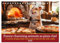 Funny charming animals as pizza chef (Tischkalender 2025 DIN A5 quer), CALVENDO Monatskalender