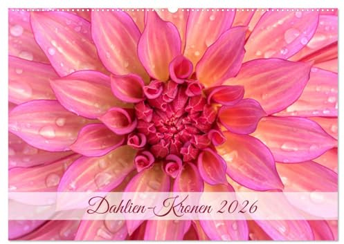 Dahlien-Kronen (Wandkalender 2026 DIN A2 quer), CALVENDO Monatskalender: Die Blüten von Dahlien in strahlend schönen Bildern. (CALVENDO Natur)