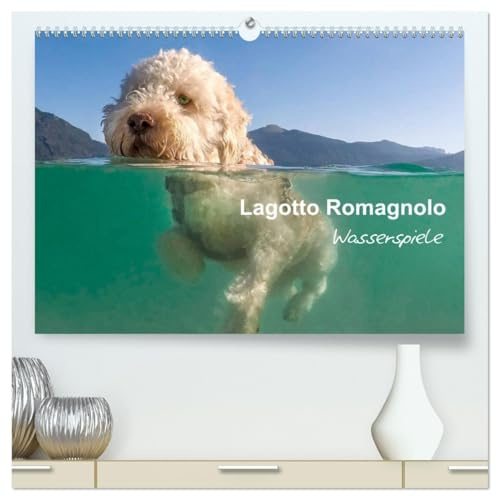 Lagotto Romagnolo - Wasserspiele (hochwertiger Premium Wandkalender 2026 DIN A2 quer), Kunstdruck in Hochglanz: Sensationelle Bilder des Italienischen Wasserhundes (CALVENDO Tiere)