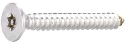 Reidl Sicherheitsschrauben Senkkopf Blechgewinde PIN Torx 3,5 x 32 mm A2 blank 100 Stück