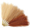 Serwalin Lot de 6 herbes de la pampa séchées artificielles pour décoration d'intérieur, bouquet d'herbe de la pampa artificielle pour salon, fête de mariage, centre de table, remplissage de vase