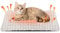 PETTOM Selbstheizende Katzendecke, Wärmedecke Katze 60 x 45 cm, Heizdecke Katze Ohne Strom, Selbstwärmende Katzendecke Flauschig und Weich, Wärmematte Katze Hund Geräuschlos
