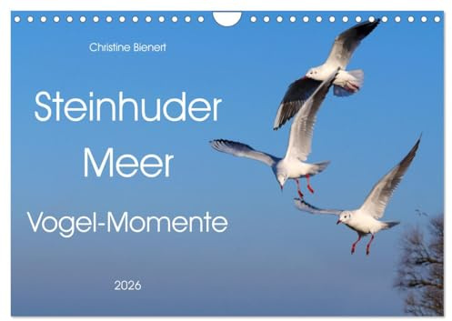 Steinhuder Meer, Vogel-Momente (Wandkalender 2026 DIN A4 quer), CALVENDO Monatskalender: Herrliche Schnappschüsse der Vogelwelt (CALVENDO Tiere)