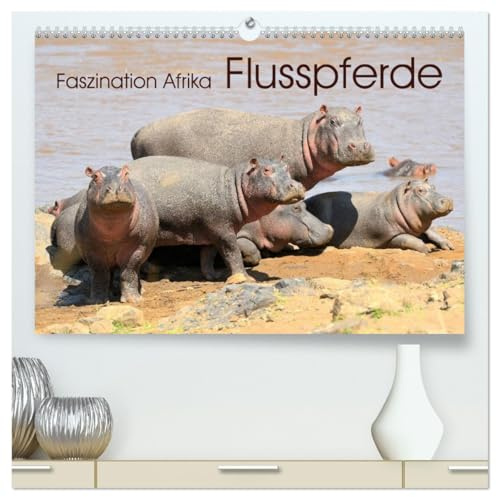 Faszination Afrika: Flusspferde (hochwertiger Premium Wandkalender 2026 DIN A2 quer), Kunstdruck in Hochglanz: Hippos - die Schwergewichte in ihrem natürlichen Lebensraum (CALVENDO Tiere)