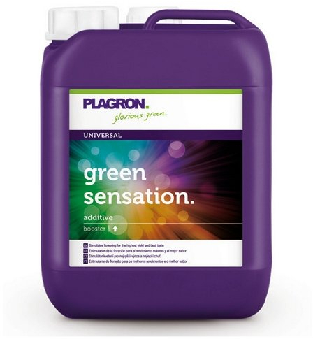 Plagron Green Sensation Blütestimulator letzte 4-6 Wochen (5L)