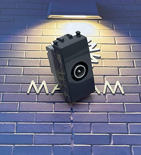 TOT Electric Frutti Compatibili Colore Nero Per Supporti Originali Materiale Tecnopolimero Vimar Plana Interruttori Prese Shuko Bivalenti… (Presa TV Passante)
