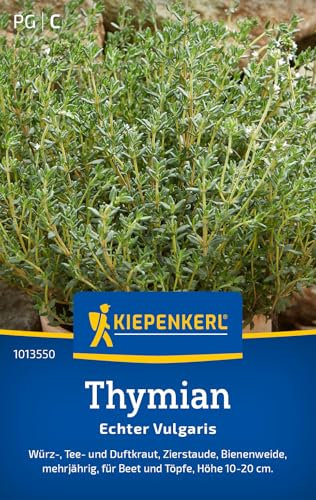 Kiepenkerl Thymiansamen Echter Vulgaris 1013550 - Mehrjähriges Kraut mit einer Höhe von 10 bis 20 cm und einem Inhalt für 150 Pflanzen - Kräutersamen, Saatgut