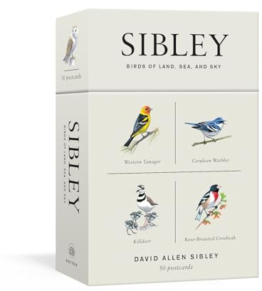 Sibley Birds of Land, Sea, and Sky: 50 Postcards