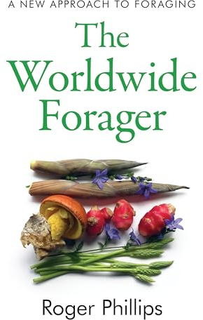 The Worldwide Forager: A New Approach to Foraging