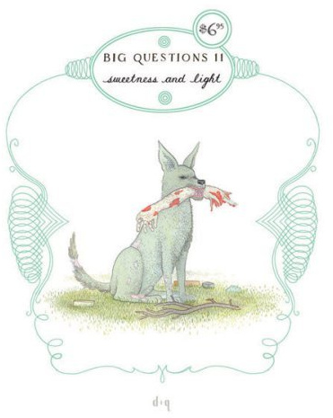 BIG QUESTIONS 11