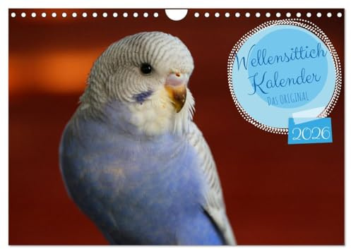 Wellensittichkalender! - Das Original (Wandkalender 2026 DIN A4 quer), CALVENDO Monatskalender: Dieser hochwertige Wandschmuck ist das ideale Geschenk ... verschenken möchten. (CALVENDO Tiere)