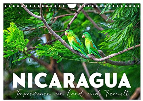 Nicaragua - Impressionen von Land und Tierwelt. (Wandkalender 2026 DIN A4 quer), CALVENDO Monatskalender: Zwischen Pazifik und Karibik. (CALVENDO Orte)