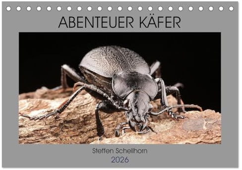 ABENTEUER KÄFER (Tischkalender 2026 DIN A5 quer), CALVENDO Monatskalender: Ein phantastischer Einblick in die Vielgestalt der Käfer (CALVENDO Tiere)
