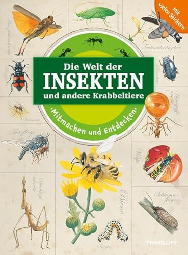 Mitmachen und Entdecken: Die Welt der Insekten und andere Krabbeltiere: Mit vielen Stickern
