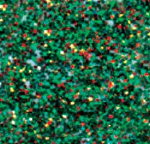 Holly -Stickles Glitr Glu.5