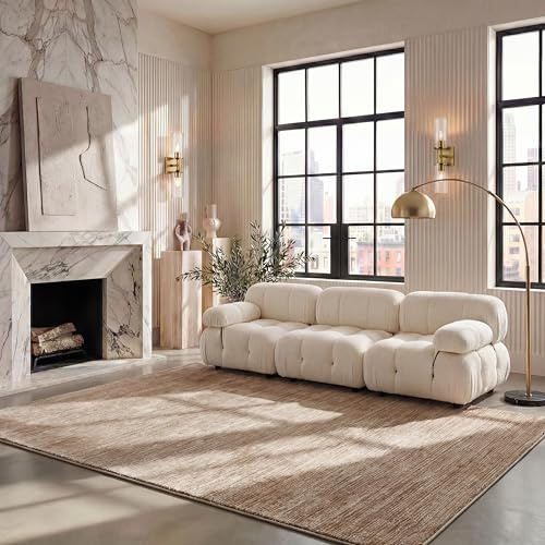 SAFAVIEH Area Rug 8x10 - Vision Collection - Large - Light Brown, Modern Ombre Design, Non-Shedding & Easy to Clean, Ideal for Living Room, Bedroom, Dining Space (VSN606C)
