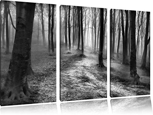 Pixxprint Düstere Landschaft schwarz weiß, Leinwandbild 3 Teilig, Gesamtmaß: 120x80cm, Wandbild, Dekoration, fertig gespannt, Kein Poster