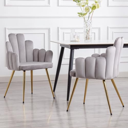 Ya-Home Chaises de Salle à Manger en Velours Chaise de Cuisine Moderne avec Pied Doré Chaise de Salle à Manger Lot de 2, Gris